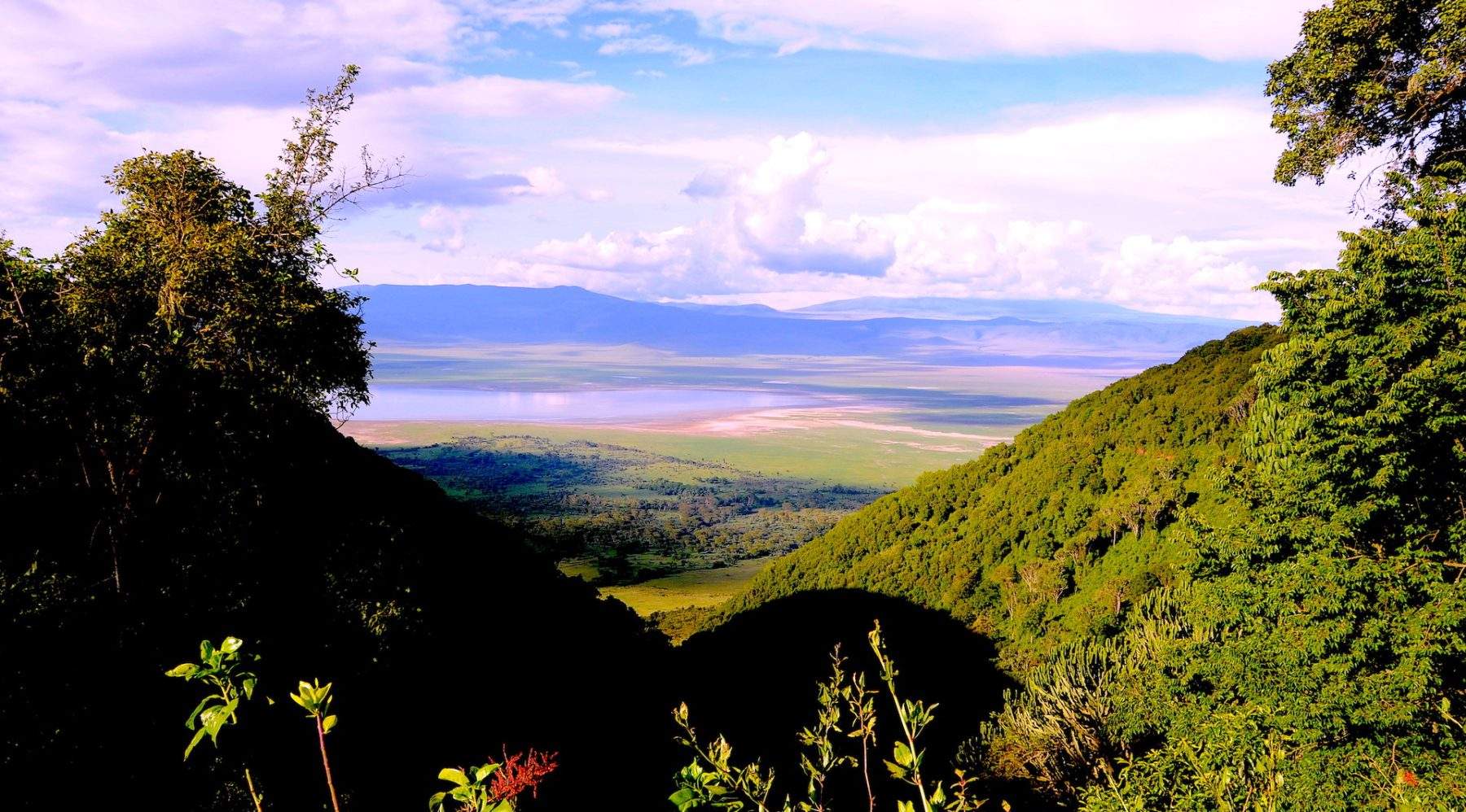 Ngorongoro