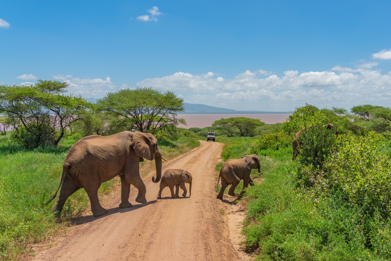 Tarangire